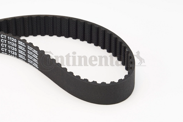 Timing Belt
